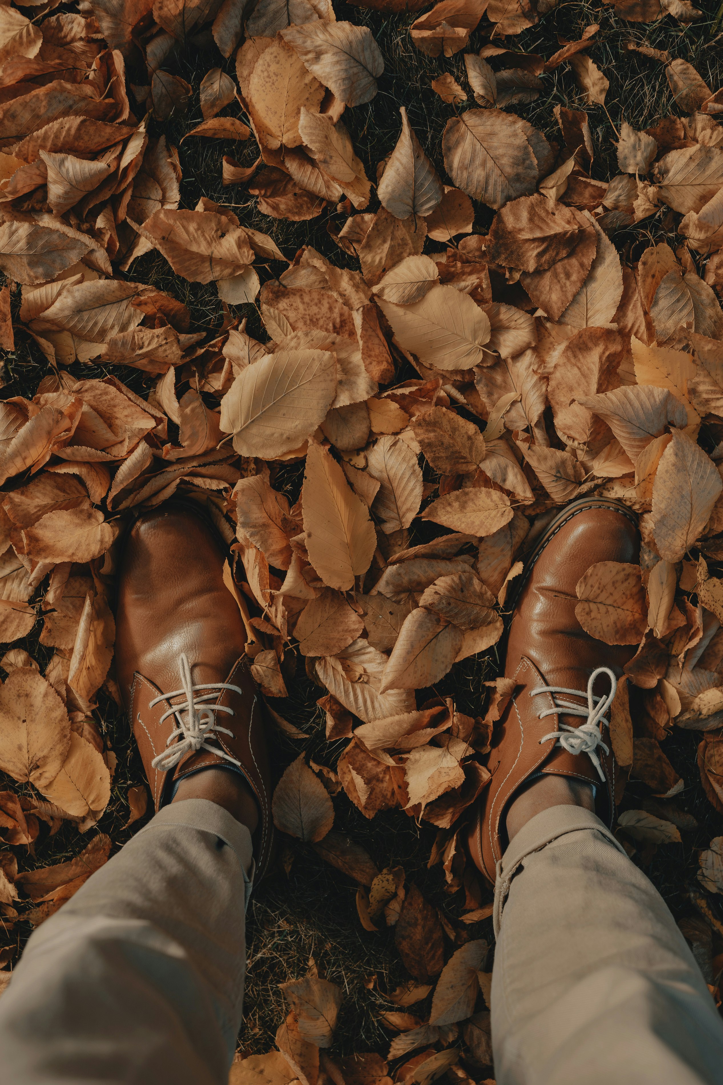 person wearing brown leather shoes standing on dried leaves